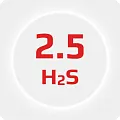Сероводород 2.5